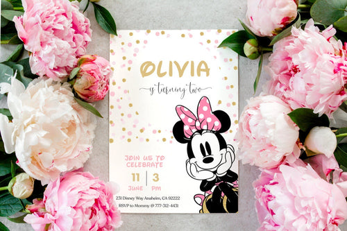 Girl Birthday Invite | Printable 2nd Birthday Invitation | Girl Birthday | 2nd Girl Birthday Invite | Girl Birthday Party